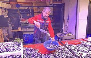 Denizlerde bollaşan hamsi tezgahlarda 100 TL’ye...