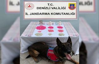 Denizli’de tacirlerine operasyon düzenlendi