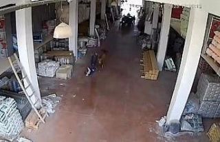 Depoya giren inek çalışanlara saldırdı: Vatandaşlar...