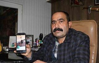 Dev kartala "Kartalcık kartalcık" diye...