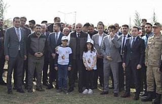 Dicle Gençlik Kampında milli ağaçlandırma gününde...