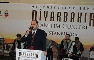 Diyarbakır Tanıtım Günleri 27 Kasımda başlıyor