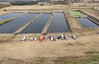 Diyarbakır’a 5 ilden gelen "Kurbağa adamlar"...