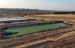 Diyarbakır’a tedavi için sevk edilip kayıplara...