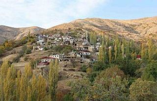 Diyarbakır’da asırlık kerpiç evler arasında...