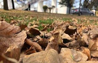 Dökülen yaprakla kartpostallık görüntüler oluşturdu