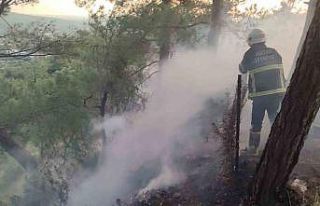 Dörtyol’da ormanlık yangını