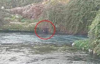 Düden Çayı’na düşen şahsı itfaiye ekipleri...