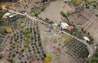 Dünyanın en pahalı baharatı safran Adana’da...