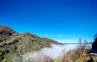 Düzce güne sisle uyandı