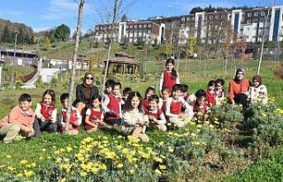 Düzce Üniversitesi botanik bahçesine miniklerden...