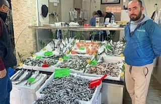 Düzce’de balık fiyatları düşerken, vatandaşlar...