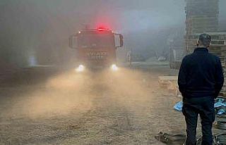 Edirne’de palet fabrikasında yangın