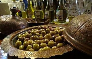 Edremit zeytinyağı ve yeşil çizik zeytini için...