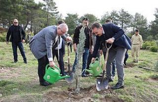 Edremit’te fidanlar toprakla buluştu