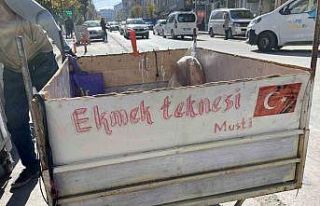 ‘Ekmek Teknesi’ yazılı el arabası ile her gün...