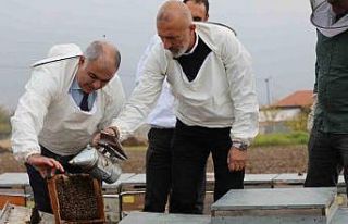 Elazığ arı kovanları incelendi