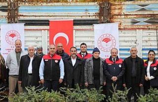 Elazığ’da sumak üretimi artıyor