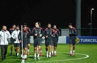 Eren Elmalı, A Milli Takım aday kadrosundan çıkarıldı