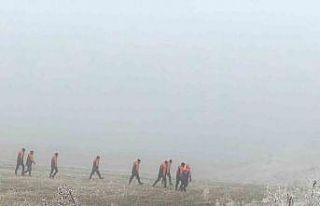 Erzurum’da kaybolan çoban ve sürüyü arama çalışmaları...