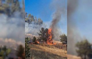 Erzurum’da orman yangını
