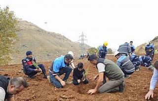 Eti Bakır’dan ağaçlandırma seferberliği