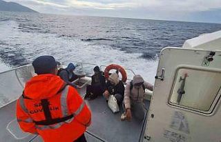 Fethiye Leylek koyunda mahsur kalan 4 düzensiz göçmen...