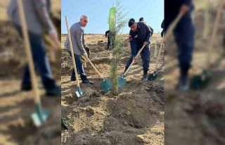 Fidanlar toprakla buluştu