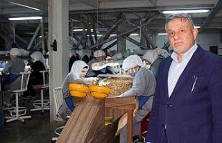 Fındık fiyatları, ihracat, döviz kuru ve hava...