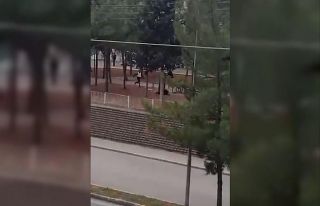 Gaziantep’te karısını öldüren zanlının vurularak...