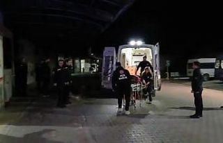 Gemlik’te zeytinlikte bıçaklı saldırı: 1 ağır...