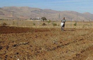 Gercüş’te çiftçiler tohumlarını toprakla buluşturuyor