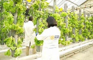 Gıda Güvenliğine ‘TENMAK’ dokunuşu