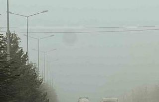 Göksun’da sis etkili oldu