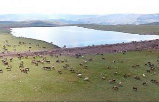Gölet yapımında Türkiye’ye örnek olan şehir:...