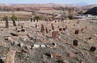 Görüntüsü ile ‘Orhun Kitabelerini’ andırıyor,...