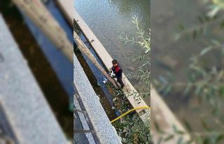 Gümüşhane’de çaya düşen yavru kediyi itfaiye...