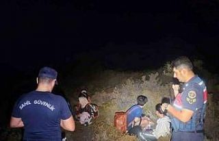 Günlüklü koyunda 3’ü çocuk 4 düzensiz göçmen...