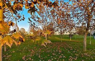 Güzelyurt sonbahar renklerine büründü