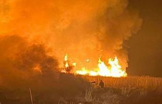 Hakkari’de kuş cennetinde yangın