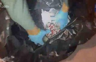 Hatay’da piyasa değeri 4 milyon 372 bin TL olan...