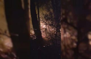 Hatay’da yıldırım düşmesiyle çıkan orman...