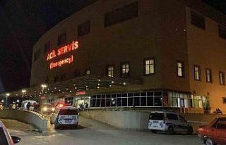 ‘Hayvan otlatma’ kavgası kanlı bitti: Komşusunu...