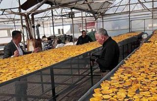 Honaz’ın meşhur cennet hurması bu kez cips olarak...