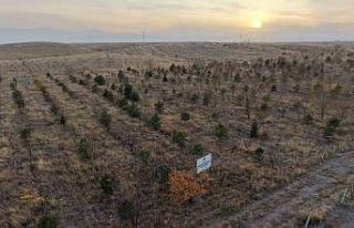Iğdır’da fidanlar toprakla buluştu