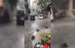 İstanbul dolu yağışı etkili oldu