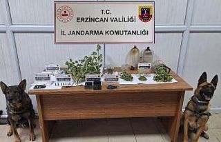 Jandarma Kasım ayı bilançosu: 124 olayın yüzde...