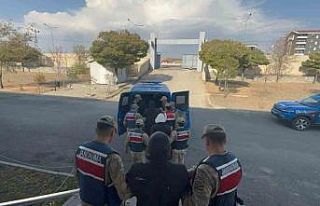 Jandarma’dan kaçak kazı operasyonu