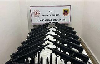 Jandarmadan silah kaçakçılığı operasyonu