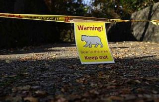 Japon firmadan turizm işletmelerine "ayı sigortası"...